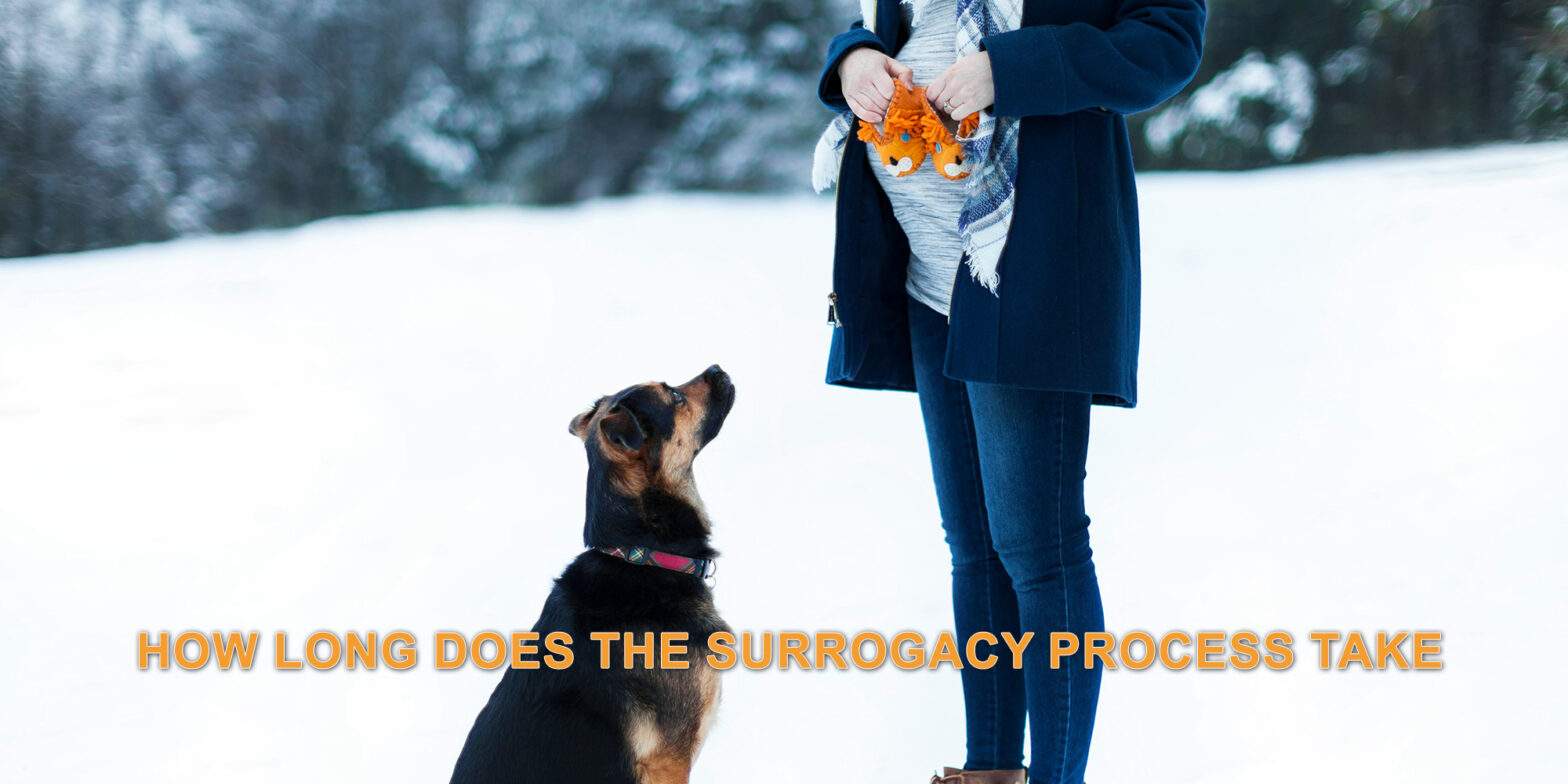 Featured image for post: How Long Does the Surrogacy Process Take