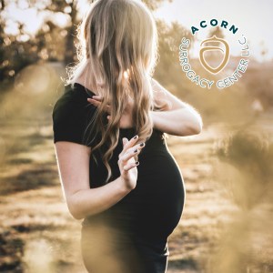 Surrogacy Process