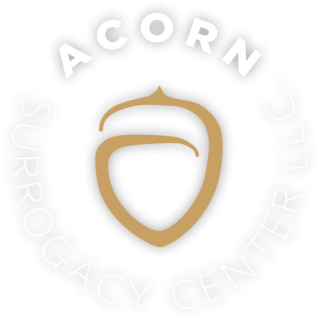 Hero overlay AcornLOGO
